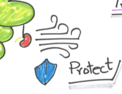 Screen Shot 2019-03-21 at 17.12.58